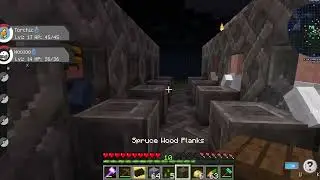 starvinggamer descent into madness (braking pixelmon)