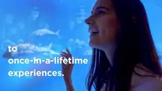Once In A Lifetime Experiences at Atlantis, The Palm