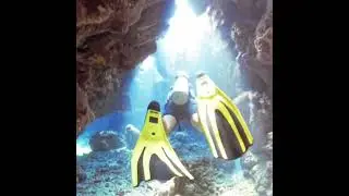 Dolphin house MarsaAlam