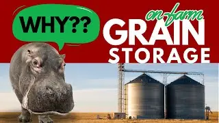What is the payback on an On-Farm Grain Storage Facility?