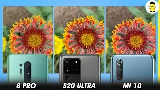 OnePlus 8 Pro vs Galaxy S20 Ultra vs Mi 10 camera comparison - I’m impressed, OnePlus!