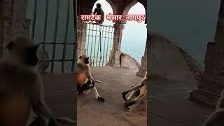 Ramtek mansar Nagpur #balaghatvlog #hindufestival #anilpanchevlogs #travel #ramtek