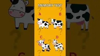 Quick Brain Challenge: Spot the First Thing You Noticed!
