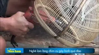 PS Long chim cu gay