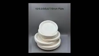 Sugarcane Pulp Plates | Eco-Friendly Food Container