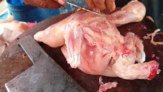 Chicken Meat Cutting Skills | Cleaning Chicken Meat Skills | Full Chicken cutting Technique