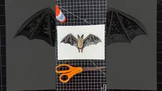 B is for Bat 😊 let me know what you&rsquo;d like to see for the letter C!