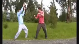 Real Force Powers