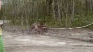 How Rednecks Move Trees 0001