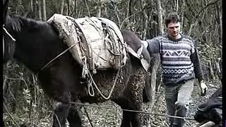 L' ultimo smacchiatore