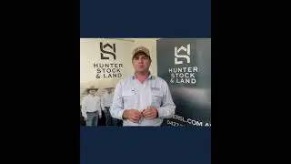 14/07/2026 Hunter Stock and Land weekly market report for HRLX Singleton