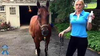 Dr. Milt's Liniment Gel Application