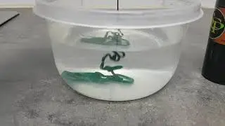 Fluo dip scorpio SCP