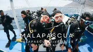 【Malapascua潛水 EP4】軟珊瑚天堂+洞穴探險 貓島潛水 Gato Island