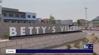 Betty's Village makes home a reality for special needs adults