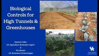 Biological Control in High Tunnels and Greenhouses