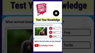 How Many Can You Guess Correctly? Part 70 #funtrivia #quiz #ultimatetrivia