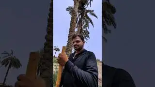 Jan Nikal de😂 | Fayaz Fun Zone | FFZ | #funnujokes #comedyfilms #comedy