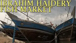 IBRAHIM HAYDRI FISH MARKET KARACHI PAKISTAN 2021 - Visit Wholesale Fish Market 2021 - Fish Rates