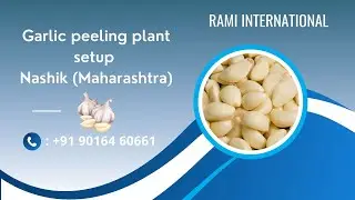 🧄Garlic peeling plant in Nashik ( Maharashtra )🧄Business Opportunity in Maharashtra #garlicmachine