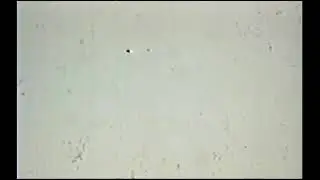 1970 Colorado vs. Penn St (All 22)
