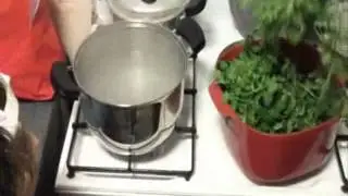 paparine