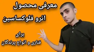 معرفی‌ و‌ توضیح‌ نحوه استفاده انرو‌فلوکساسین برای قناری و انواع پرندگان و طیور