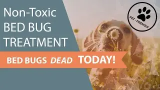 🆕Bed Bug Treatment Edmonton - Bed Bug Treatment Edmonton Review 587-805-3323