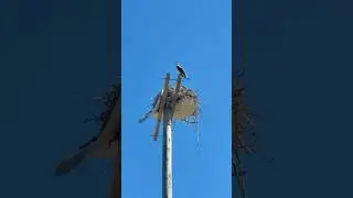 Тихая прогулка вокруг форта Де Сото