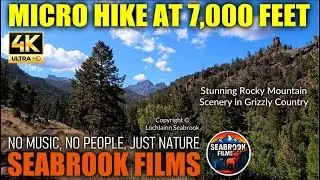 Micro Hike at 7,000 Feet: Stunning Rocky Mountain Scenery in Grizzly Country