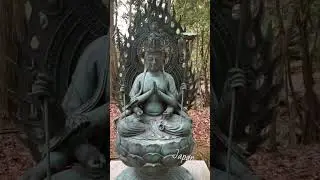 разные образы Каннон.В японской традиции Каннон является в разных формах, чтобы помогать людям