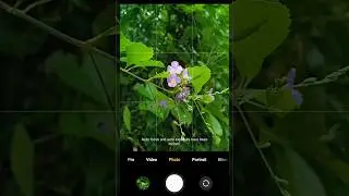 Flower Photography Ideas | #shorts #photography #viral #trending #photographytips #mobilephotography