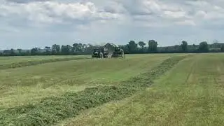 Haylage 2019