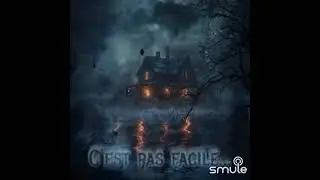 LOLO smule : C'est pas facile (feat Cassandre) 