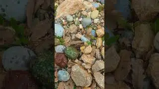 Today Beautiful Find gemstone crystal and expensive than diamonds