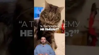 🍺 Как отвечать на вопрос &ldquo;А ты почему не пьёшь?&rdquo; &mdash; кейс BlueMoon #маркетинг #кейсы #история