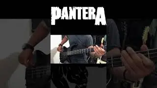 PANTERA-IM BROKEN.  #basscover #pantera #imbroken #bass #metal