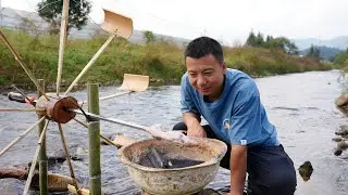 Huanong Brothers: Annihilating voles starts from eating. Let's catch them to feed our dogs.