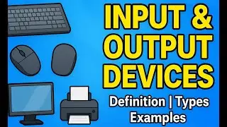 Input and Output Devices in Computer | Definition, Types & Examples Explained