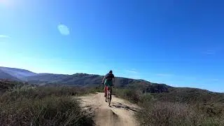 5oaks crash
