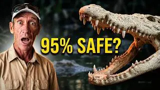 Кормление 270 крокодилов вручную &ndash; что может пойти не так? 🐊