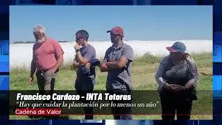 La importancia de la planificación para forestar campos