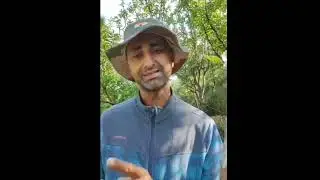 WHAT TO SPRAY IN APPLE🍎🍎 AT PETAL FALL STAGE BY DIMPLE PANJTA