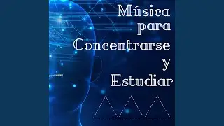 Estudiar Hasta la Madrugada