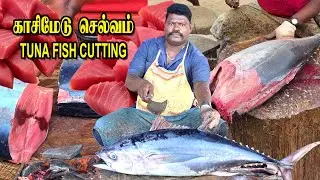 30kg GIANT TUNA FISH CUTTING🔪 | KASIMEDU SELVAM FISH CUTTING | FISH CUTTING SKILLS | #kasimedu