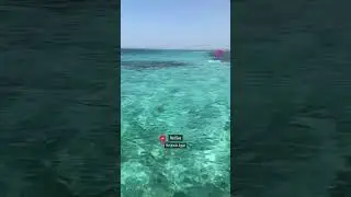 Swimming in the sea is a fantastic experience. #hurghada #redsea #egypt #beach #holiday #travelegypt