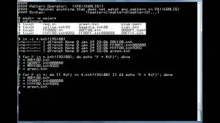 5 Minute Lessons in Shell Script Programming: Pattern Operator !(PATTERNLIST)