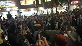 PARADE SENI BUDAYA TARUNA AAU MALIOBORO JOGJA #infojogja #kirab #wonderfuljogja #paradesenibudaya