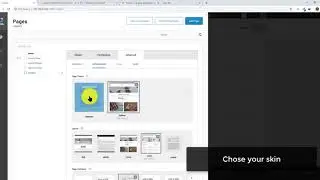 How to change page skin