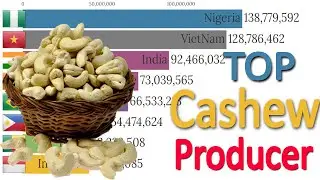 Top Largest Cashew producer Countries